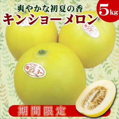 爽やかな初夏の香 キンショーメロン5kg お礼品詳細 ふるさと納税なら さとふる
