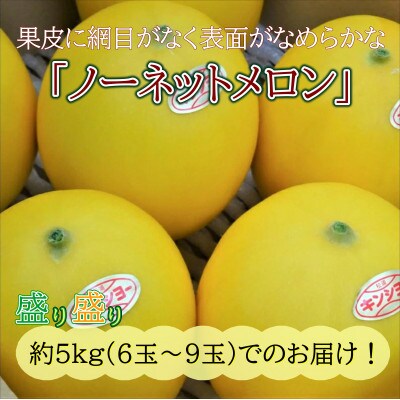 爽やかな初夏の香　キンショーメロン5kg