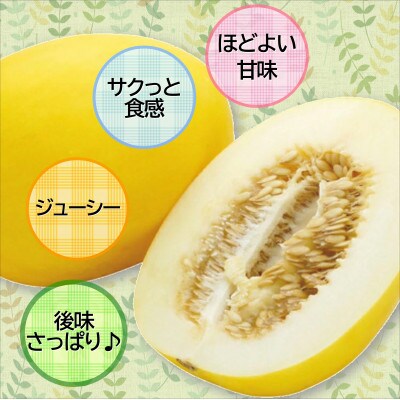 爽やかな初夏の香　キンショーメロン5kg