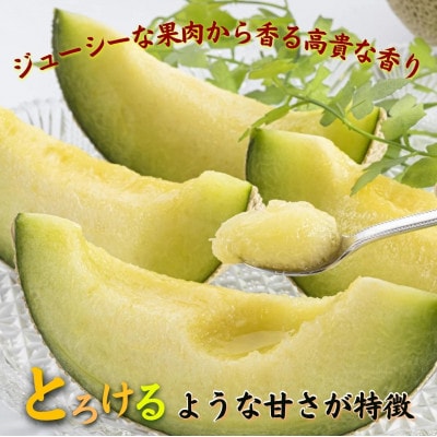 高貴で芳醇な香りと濃厚でとろける甘みの　　松浦アールスメロン「爽潤果(そうじゅんか)」1玉