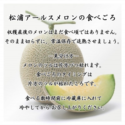 高貴で芳醇な香りと濃厚でとろける甘みの　　松浦アールスメロン「爽潤果(そうじゅんか)」1玉