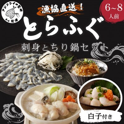漁協直送 とらふぐ刺身とちり鍋セット6～8人前(白子・茶漬け付)