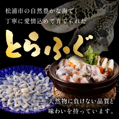 漁協直送 とらふぐ刺身とちり鍋セット6～8人前(白子・茶漬け付)