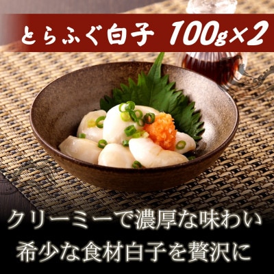 漁協直送 とらふぐ刺身とちり鍋セット6～8人前(白子・茶漬け付)