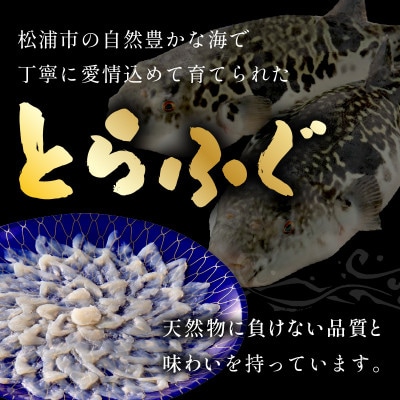 漁協直送 とらふぐ刺身とちり鍋セット3～4人前(白子・茶漬け付)