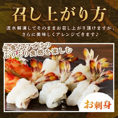 生食用  瞬間冷凍活き〆福島くるまえび500g