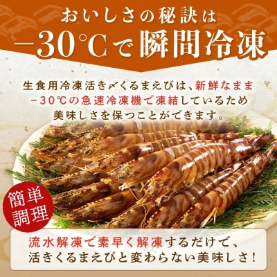 生食用 瞬間冷凍活き〆福島くるまえび(200g×2P)