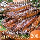 生食用 瞬間冷凍活き〆福島くるまえび200g