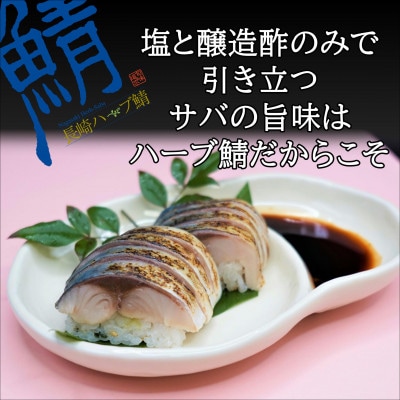 サバがこんなに美味しいなんて!長崎ハーブ鯖の「炙りしめ鯖」2枚