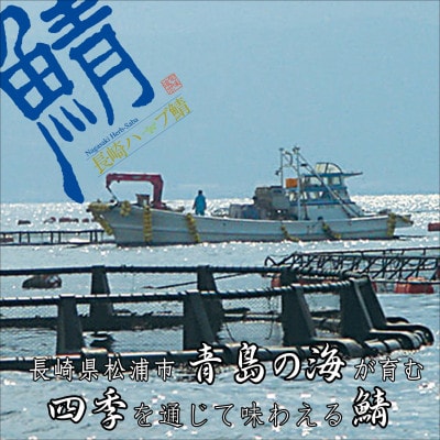 サバがこんなに美味しいなんて!長崎ハーブ鯖の「しめ鯖」と「炙りしめ鯖」食べ比べ