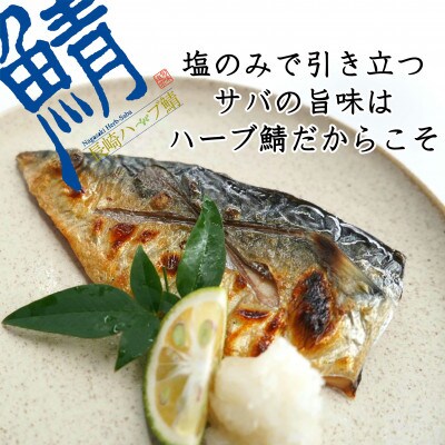 サバがこんなに美味しいなんて!長崎ハーブ鯖の「塩鯖」2枚