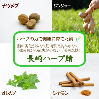 サバがこんなに美味しいなんて!長崎ハーブ鯖の「塩鯖」2枚