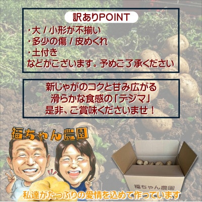 訳あり!ご家庭用に大活躍!農家直送の新じゃが　10kg