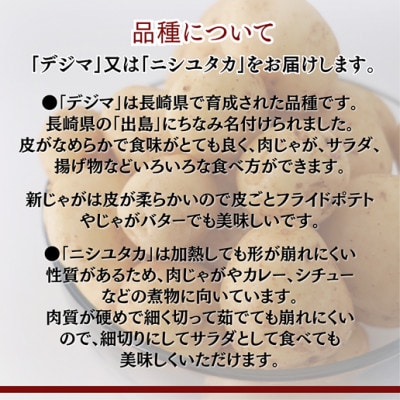 訳あり!　農家直送のじゃがいも　お試し3kg