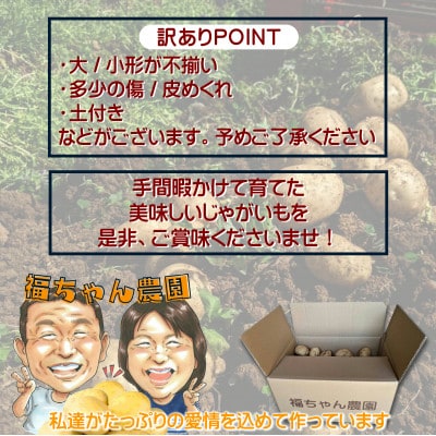 訳あり!　農家直送のじゃがいも　お試し3kg