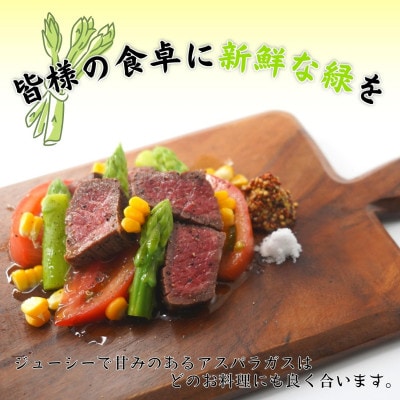 【訳あり】ご家庭用に大活躍!僕とじいちゃんのアスパラガス2kg