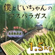 僕とじいちゃんのアスパラガス1.5kg | ふるさと納税のお礼品