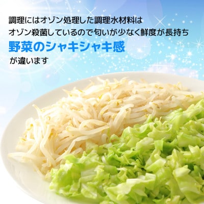 長崎伝統の味　長崎ちゃんぽん(冷凍)8個入り