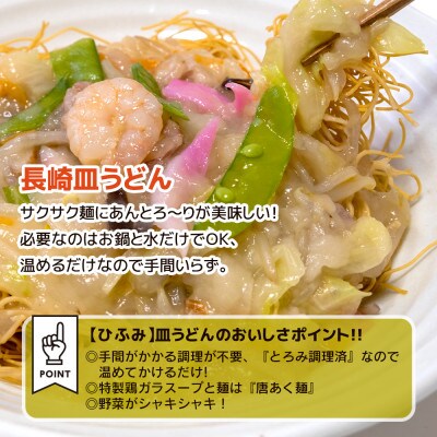 長崎伝統の味　長崎皿うどん(冷凍)10個入り