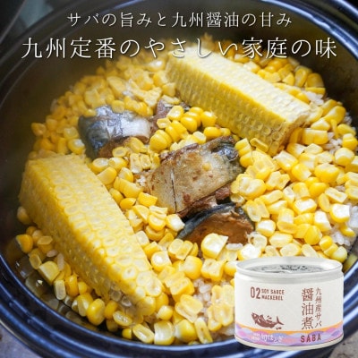 缶詰工場直送　伝統のさば缶「旬ほとぎ」醤油煮24缶