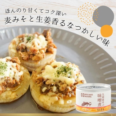 缶詰工場直送　伝統のさば缶「旬ほとぎ」味噌煮 24缶
