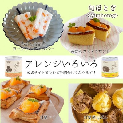缶詰工場直送　特選果実「旬ほとぎ」温州みかん24缶