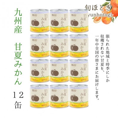 缶詰工場直送　特選果実「旬ほとぎ」甘夏みかん12缶