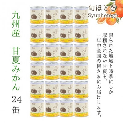 缶詰工場直送　特選果実「旬ほとぎ」甘夏みかん24缶