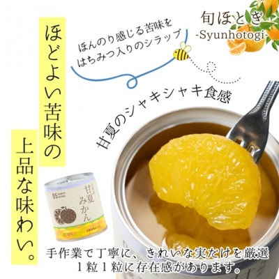 缶詰工場直送　特選果実「旬ほとぎ」甘夏みかん24缶