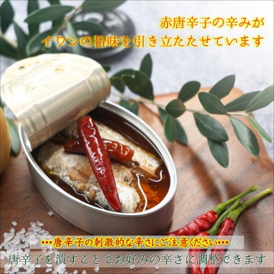 缶詰工場直送「旬ほとぎ」イワシ缶　イワシチリオイル12缶
