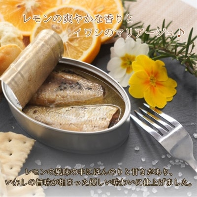 缶詰工場直送「旬ほとぎ」イワシ缶　イワシ塩レモン12缶