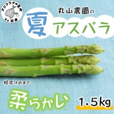 丸山農園の夏アスパラ1.5kg