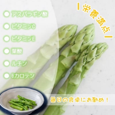 丸山農園の夏アスパラ1.5kg