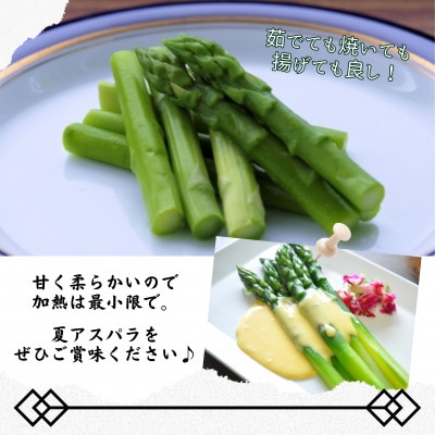 JR九州ファームの夏アスパラガス Lサイズ1.2kg