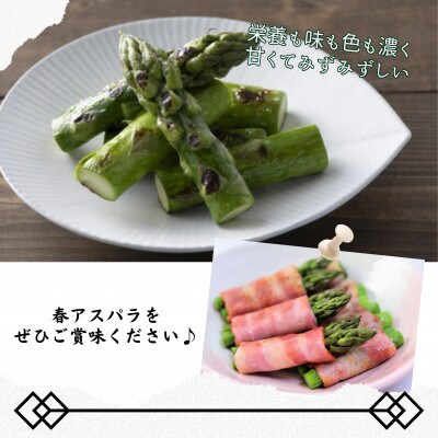 JR九州ファームの春アスパラガス　2Lサイズ1kg
