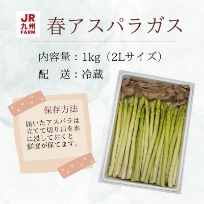 JR九州ファームの春アスパラガス　2Lサイズ1kg