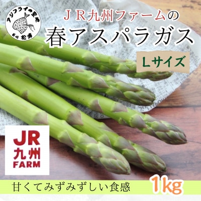 JR九州ファームの春アスパラガス　Lサイズ1kg