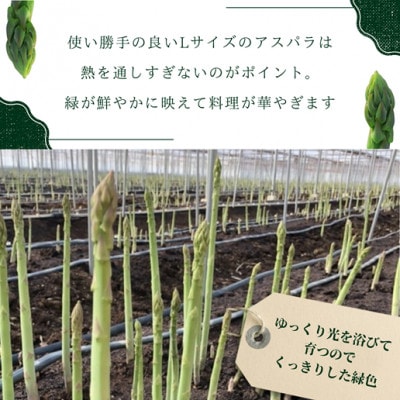 JR九州ファームの春アスパラガス　Lサイズ1kg