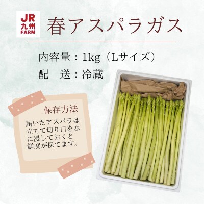 JR九州ファームの春アスパラガス　Lサイズ1kg