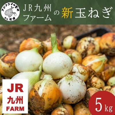 JR九州ファームの新玉ねぎ　5kg