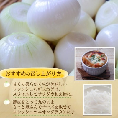 JR九州ファームの新玉ねぎ　5kg