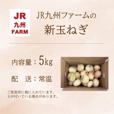 JR九州ファームの新玉ねぎ　5kg