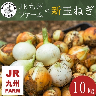 JR九州ファームの新玉ねぎ　10kg