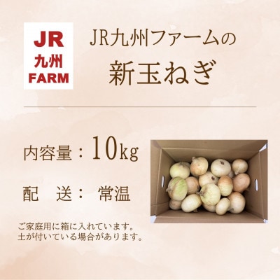 JR九州ファームの新玉ねぎ　10kg