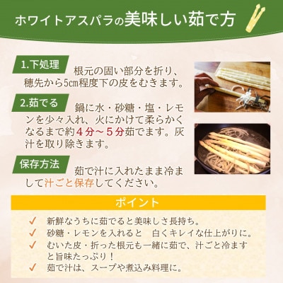 JR九州ファームのホワイトアスパラガス L～2Lサイズ 1kg