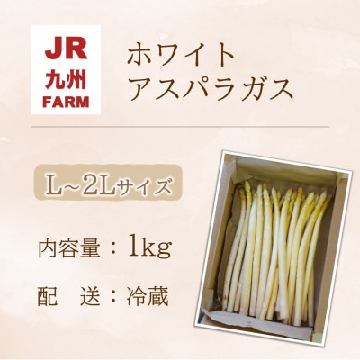 JR九州ファームのホワイトアスパラガス L～2Lサイズ 1kg