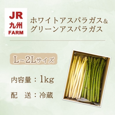 JR九州ファームのホワイトアスパラガス&グリーンアスパラガス L～2Lサイス 1kg