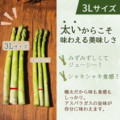 JR九州ファームのグリーンアスパラガス 3Lサイズ 1kg