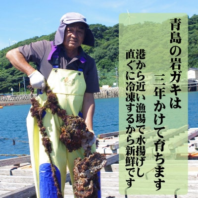 岩ガキフライ200g×2パック