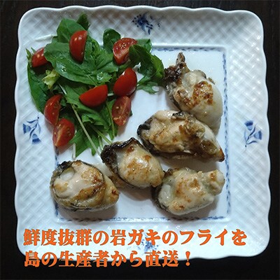 岩ガキむき身200g×2パック